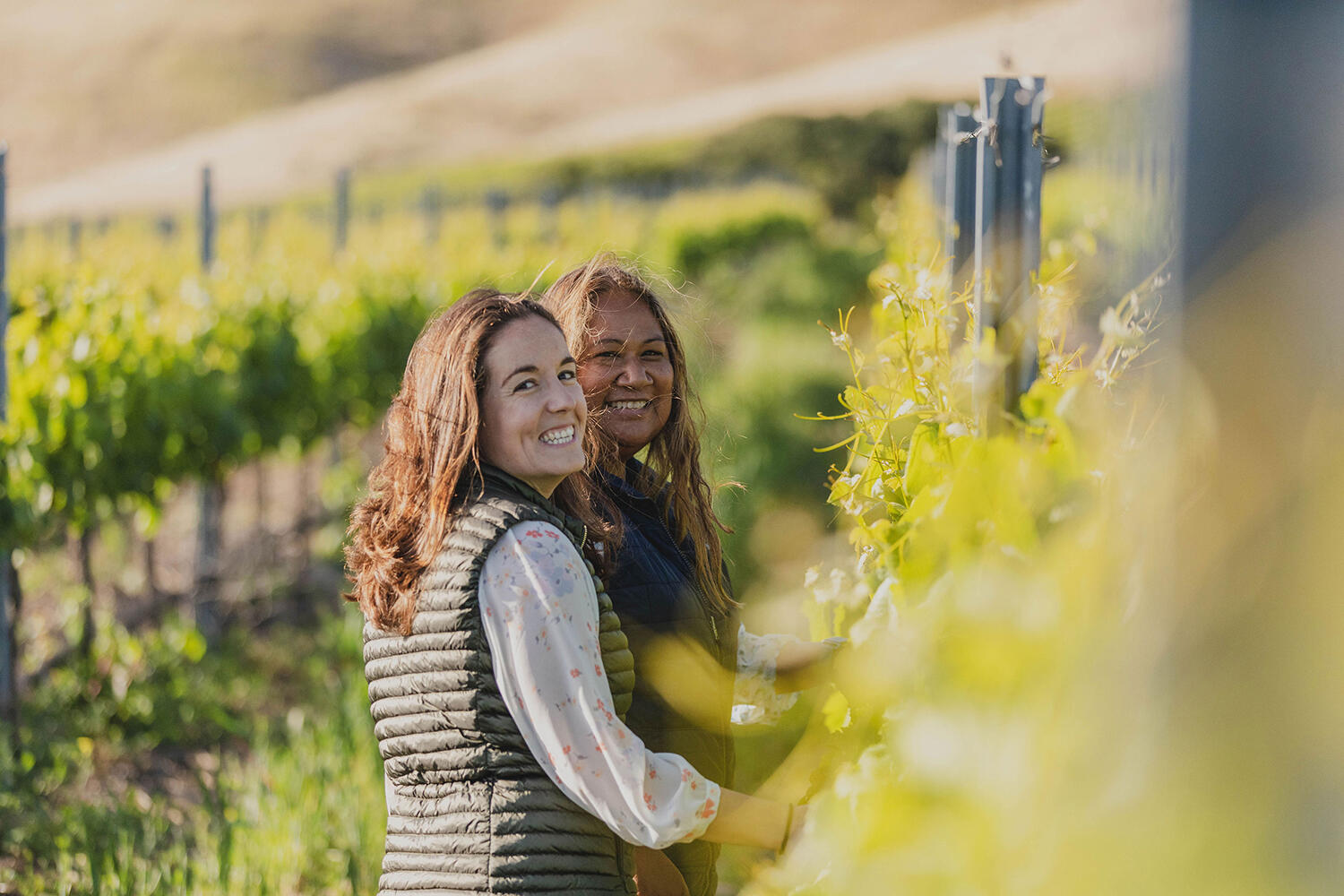 Camins 2 Dreams Winemakers