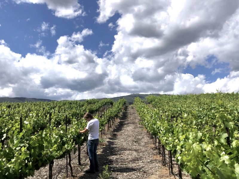 Angeleno Wine Company