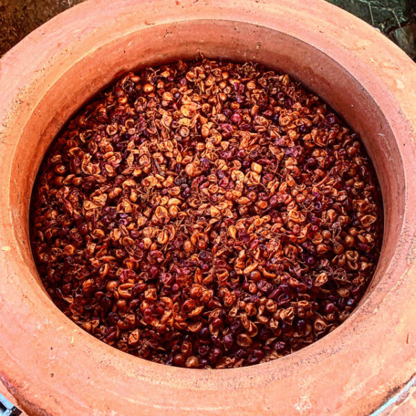 Los Pilares Vineyard