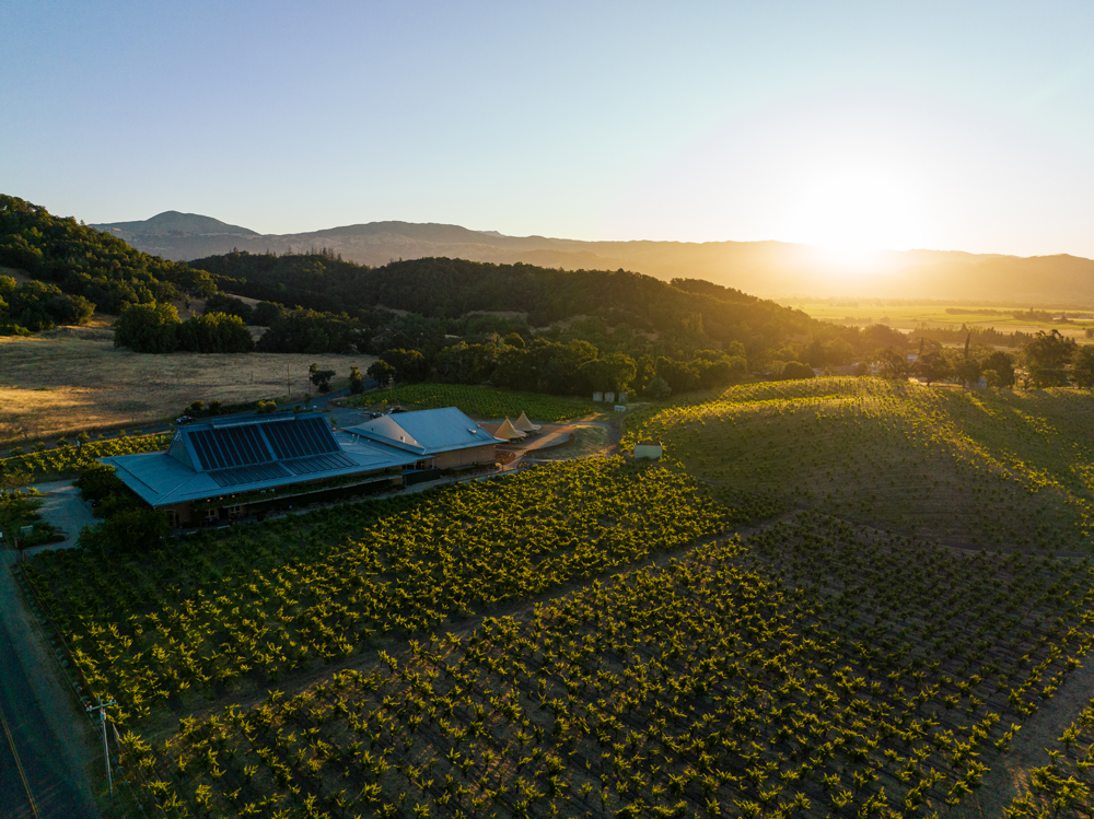 Ridge Winery, Vineyard