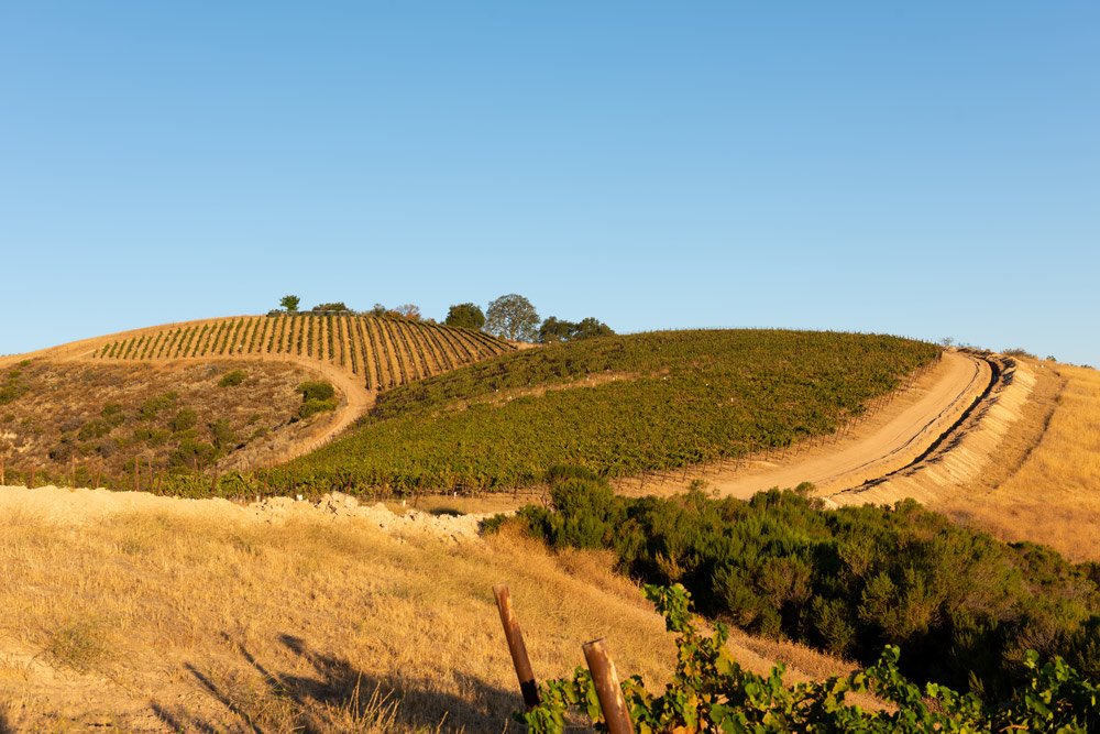 McPrice Myers Winery