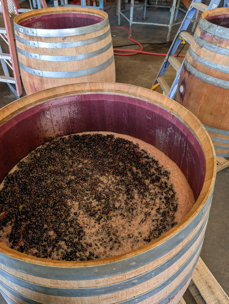 DomainePublica4 Domaine Publica Winery
