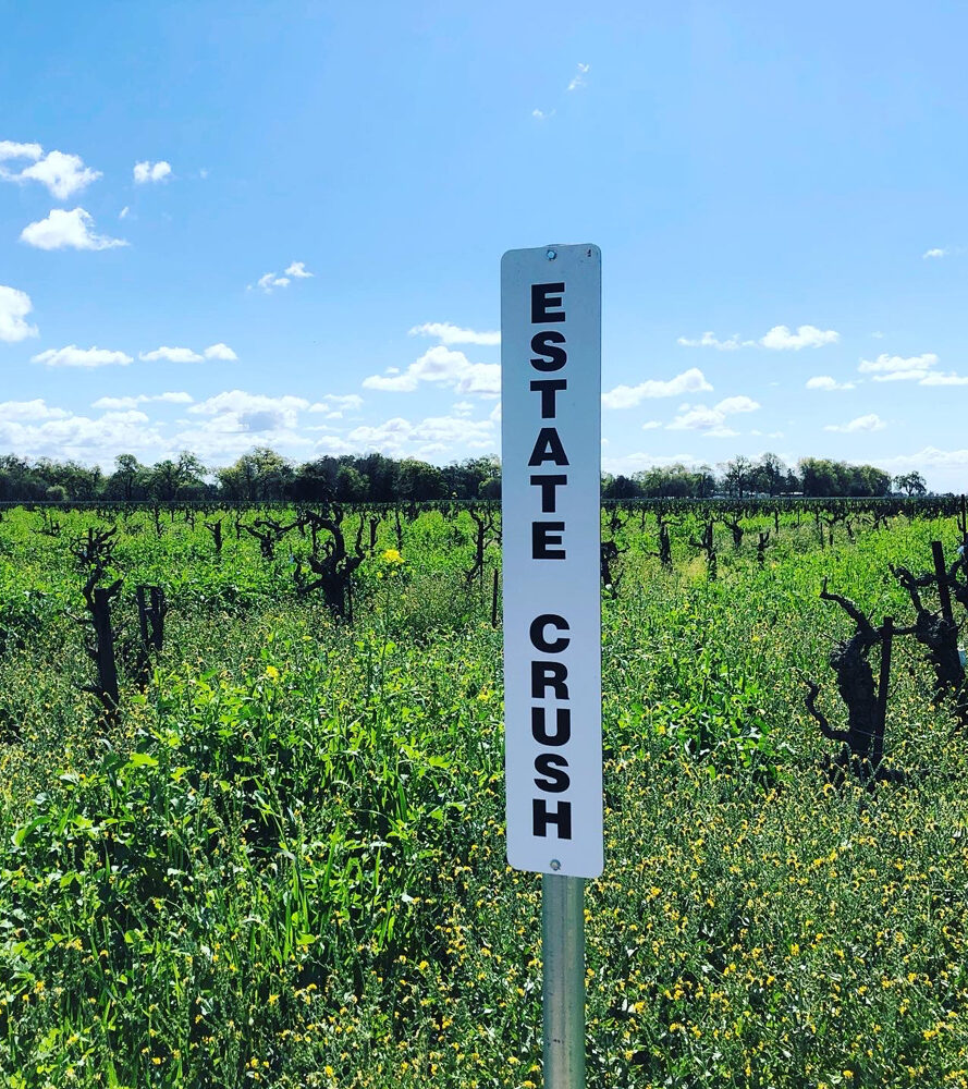 Estate Crush Vineyard